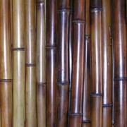 Бамбук - стволы и половинки